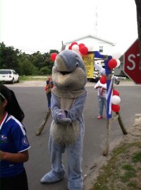 The Ocracoke Dolphin Mascot cheered the finishers at the Family Fun Run!